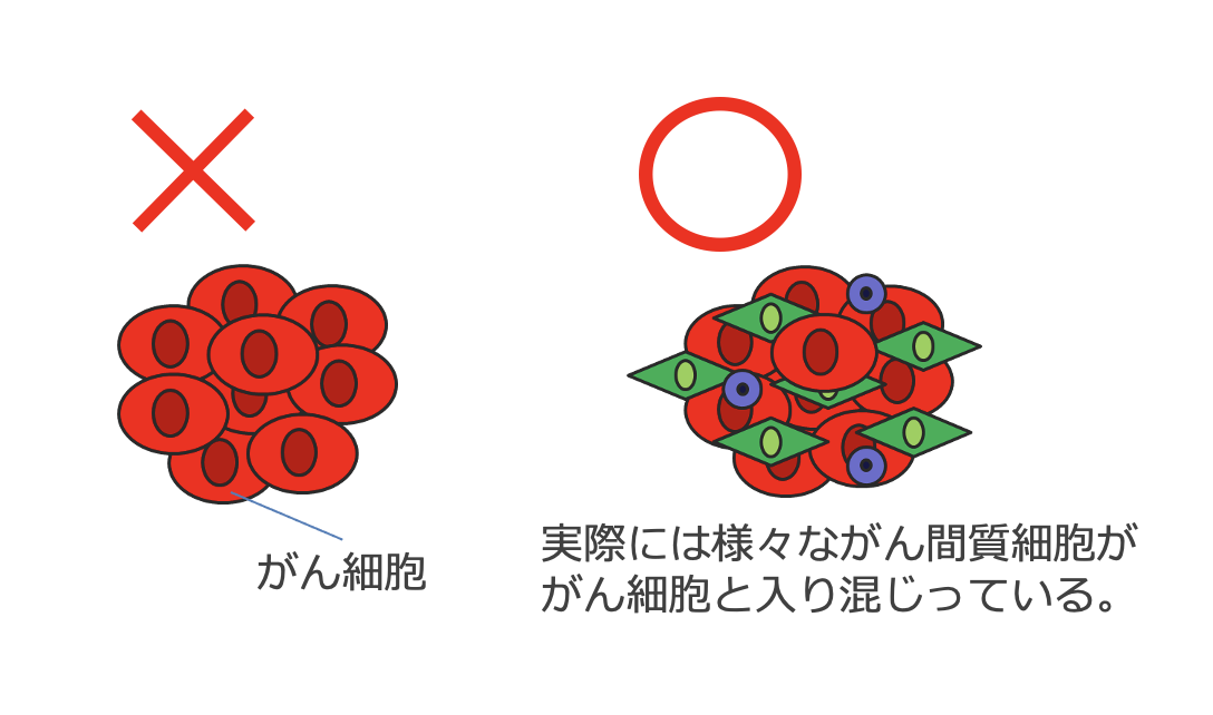 がん間質細胞ががん細胞と入り混じるイメージイラスト