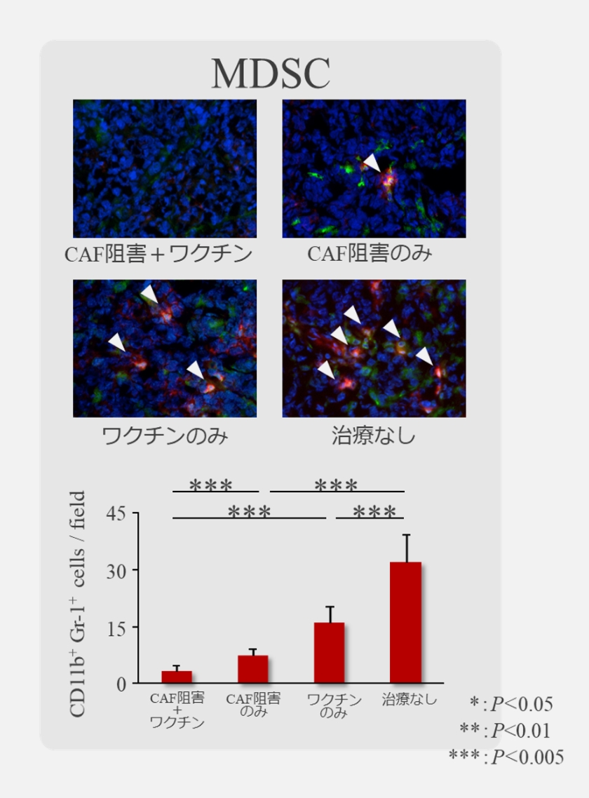 MDSC 説明写真