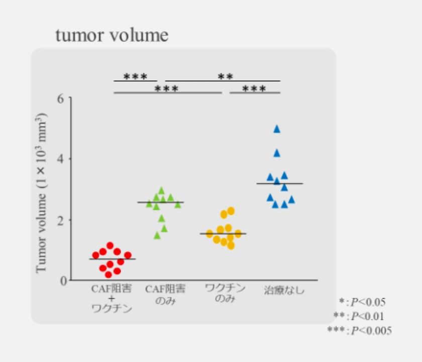 tumor volume 説明写真