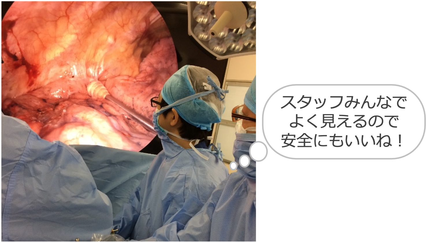 8K(約3,300万画素)の写真